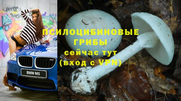 прущие крисы Армянск