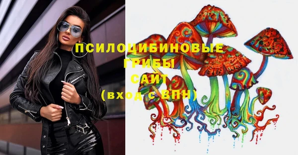 прущие крисы Армянск